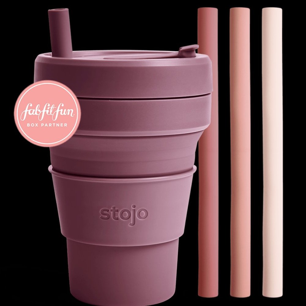 Stojo Collapsible Cup w/ 4 Reusable Straws in Plum Pie